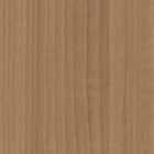 WoodGrain1848-3mDI-NOCArchitectureFilmGallery-ngs-films-and-graphics
